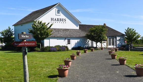 WineBarn 0C958C98 85C3 4DDF B6512A617E2D5C76 2b97849f ad9e 0e45 5d99c36bd33816ec