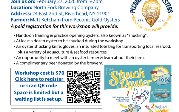 Oyster Shucking Workshop at North Fork Brewery