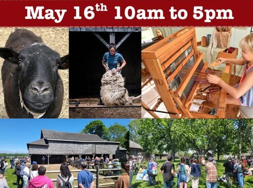 Fleece and Fiber Festival at Hallockville Museum Farm