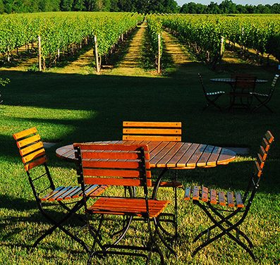 A small picnic table in winery
