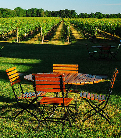A small picnic table in winery