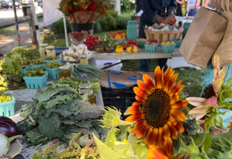 Amagansett Farmer's Market
