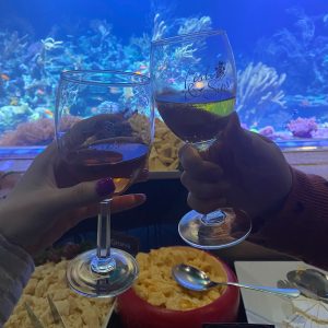 Fish & Sips at the Long Island Aquarium