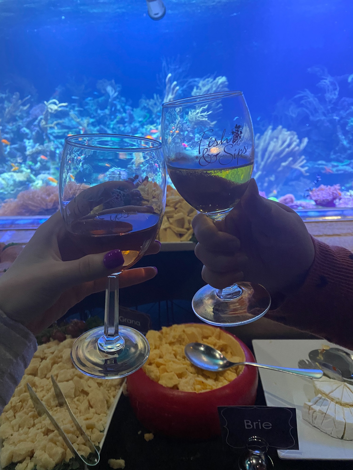 Fish & Sips at the Long Island Aquarium